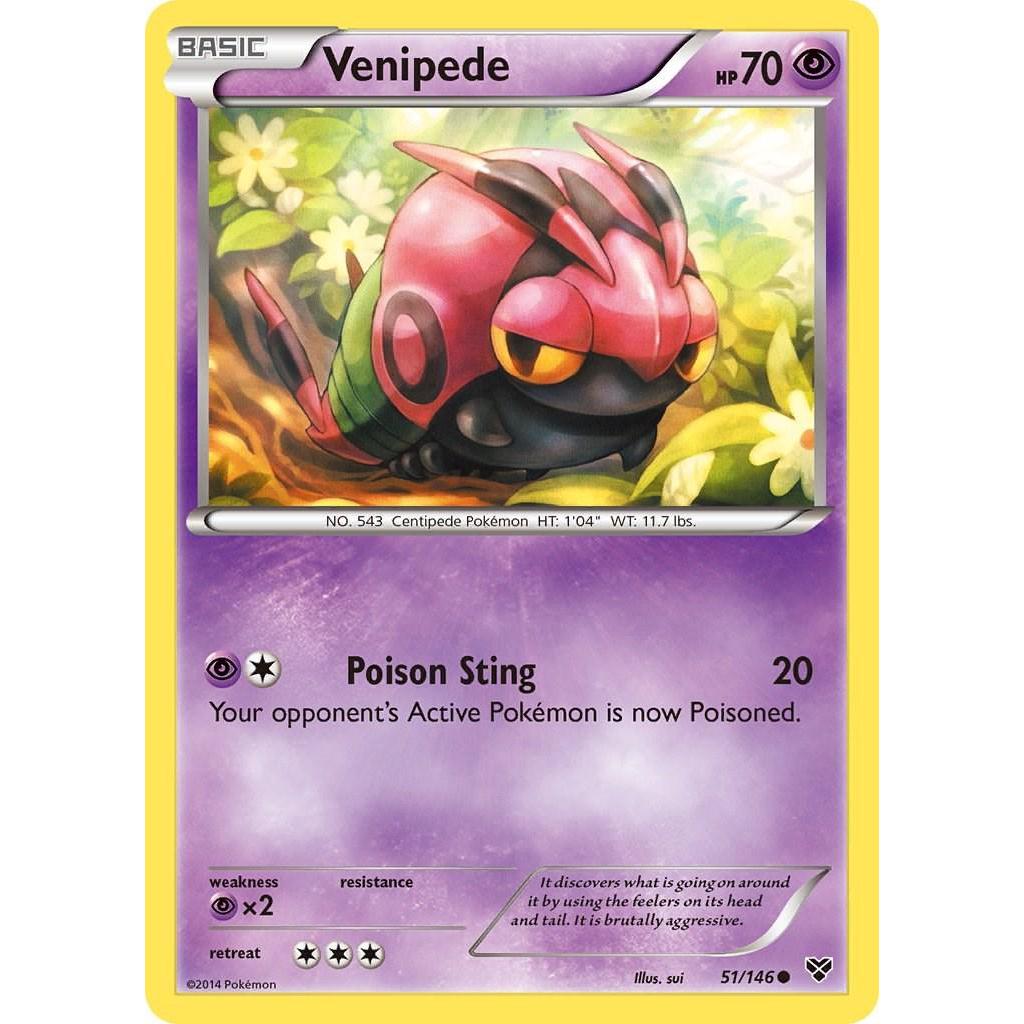 Venipede 51/146 - XY (Engelsk / Near Mint)