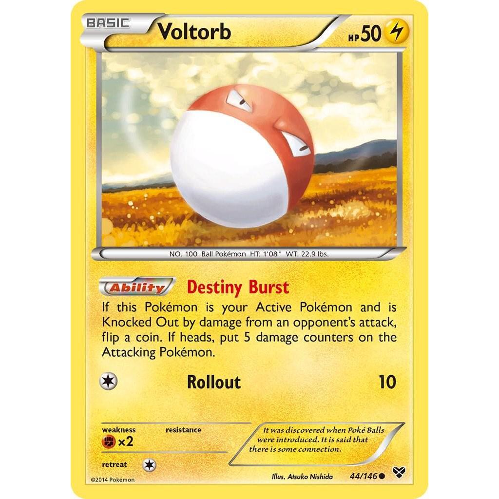 Voltorb 44/146 - XY (Engelsk / Near Mint)