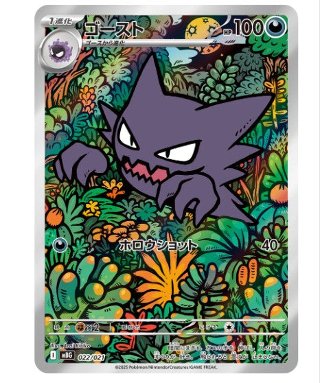 Japanske Collection Bokser – PokéNordic