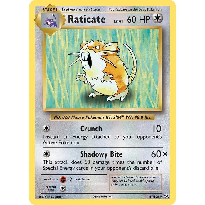 Raticate - Evolutions (Rare) [EVO-67] English / Near Mint / Normal