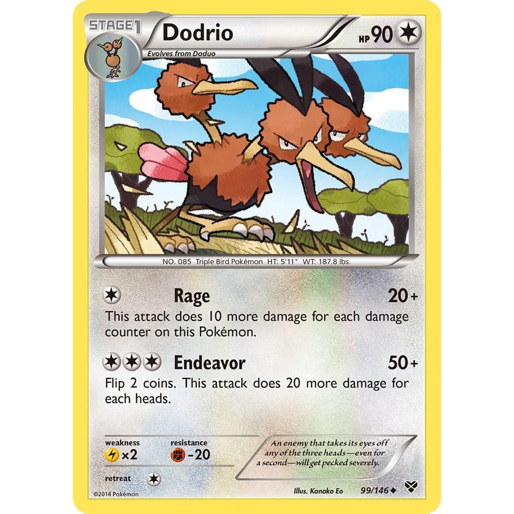 Dodrio 99/146 - XY (Engelsk / Near Mint)