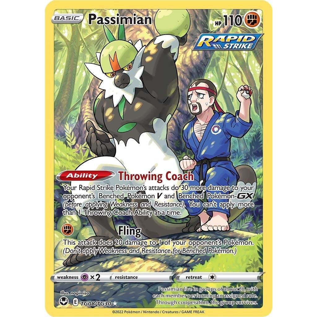 Passimian TG08/TG30 - Silver Tempest (Trainer Gallery)