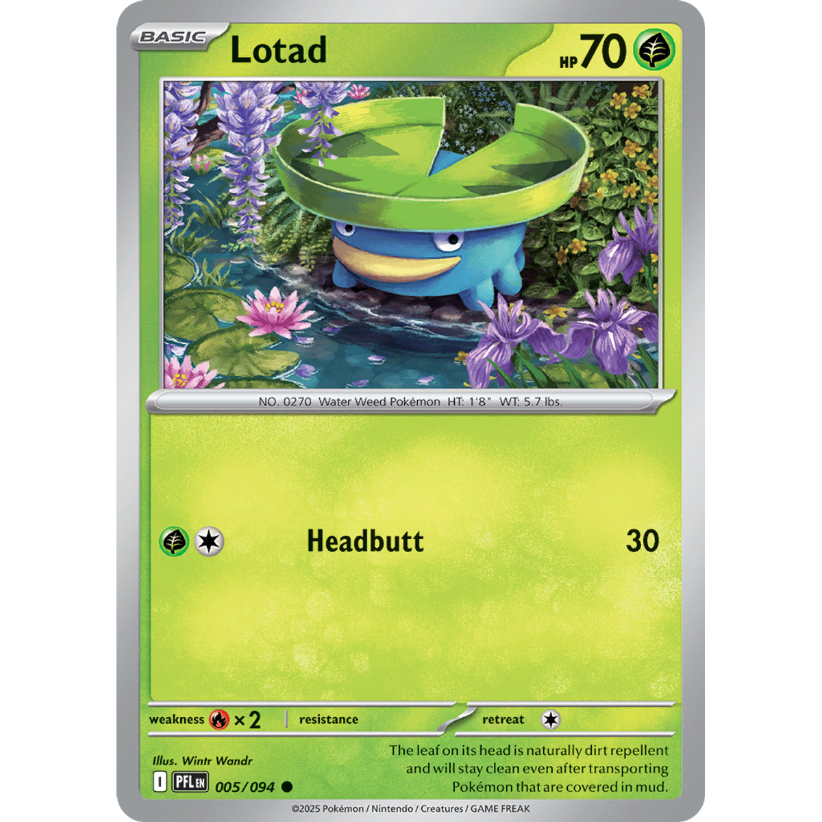Lotad 5/094 (Reverse Holo) - Phantasmal Flames
